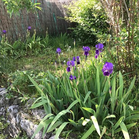 ホテル Le Patio Fleuri ロルグ エクステリア 写真