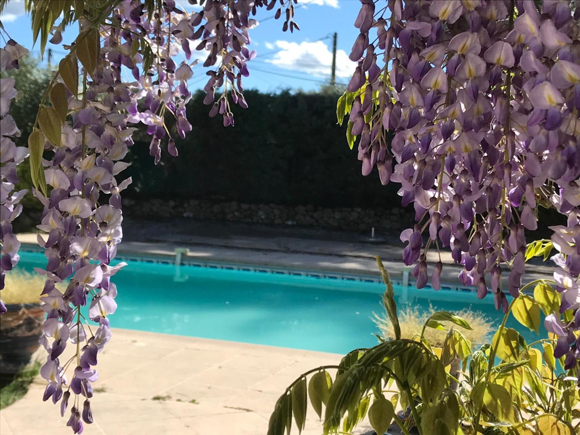 ホテル Le Patio Fleuri ロルグ エクステリア 写真
