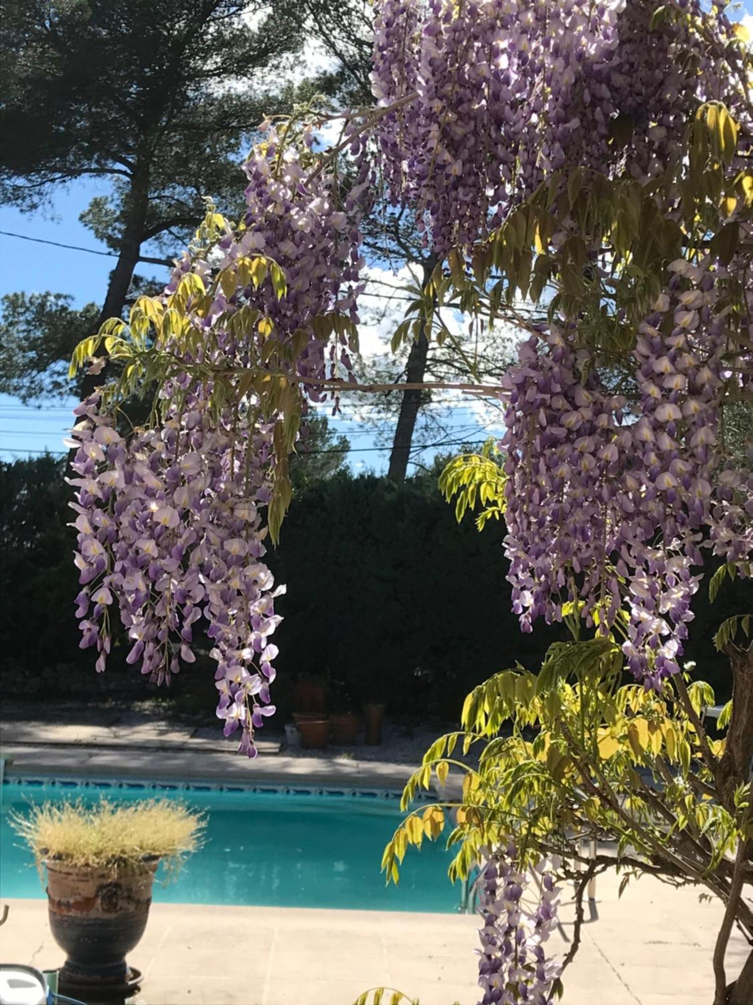 ホテル Le Patio Fleuri ロルグ エクステリア 写真